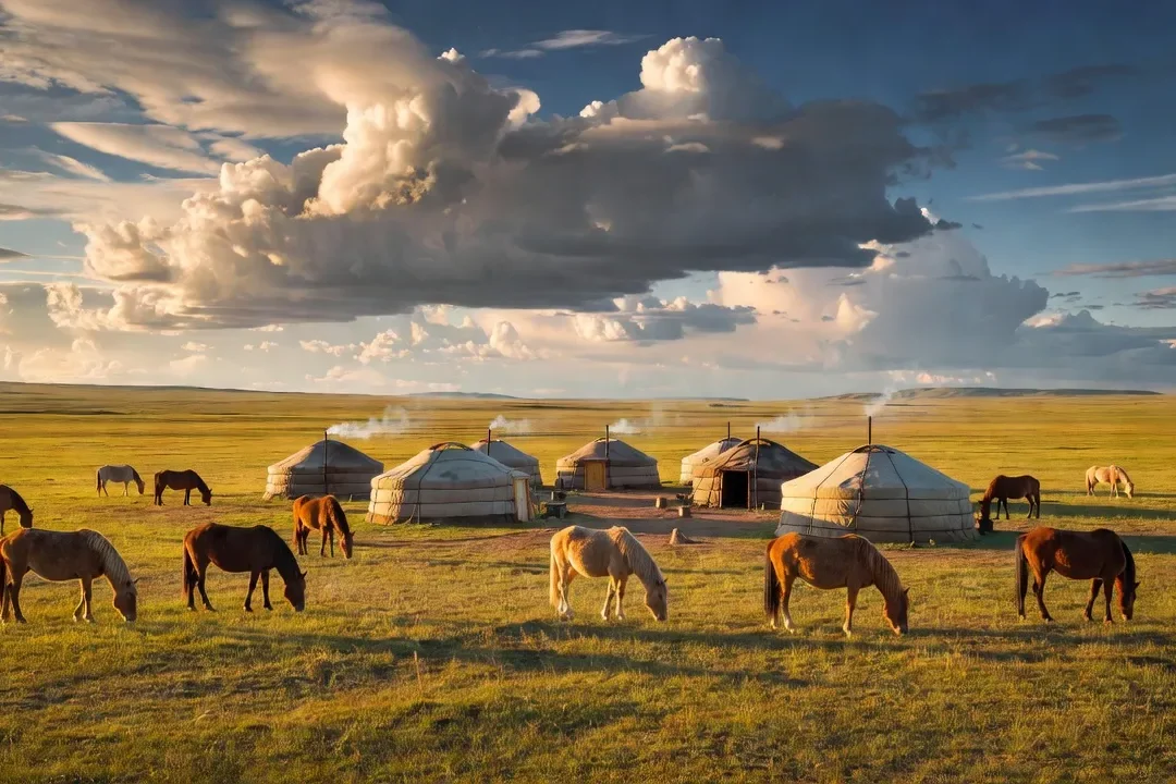 Yourtes nomades installées dans la steppe mongole au coucher du soleil
