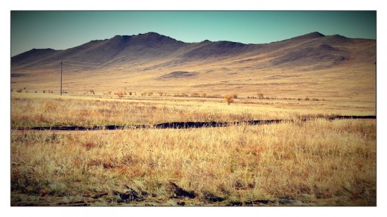 Passera ou passera pas la frontière russo-mongole? colline