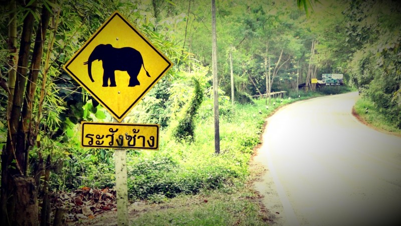 Photo de voyage - Chiang Mai : « blind » massage, cours de cuisine et trek dans la jungle