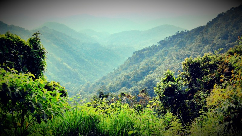 Photo de voyage - Chiang Mai : « blind » massage, cours de cuisine et trek dans la jungle