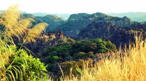Photo de voyage - Tours en scooter au Laos : feeling free !
