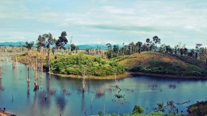 Photo de voyage - Tours en scooter au Laos : feeling free !