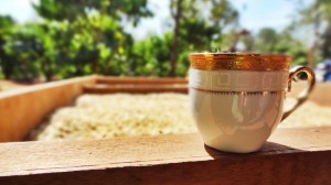 Photo de voyage - Tours en scooter au Laos : feeling free !