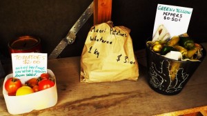 Photo de voyage - 10 bons plans pratiques et économiques pour votre trip en Nouvelle Zélande