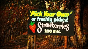 Illustration - 10 bons plans pratiques et économiques pour votre trip en Nouvelle Zélande