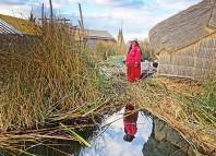 Image de couverture - Les bouteilles en plastique en inde, un vrai fardeau !